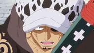 Trafalgar D. Water Law as seen in the anime (Image via Toei Animation)